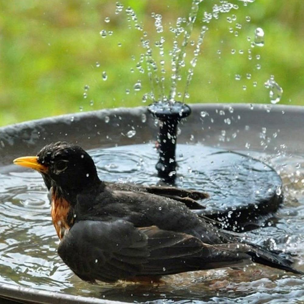 FeatherQuench™- Vogel Fontein, Hydratatie voor Gevleugelde Vrienden 